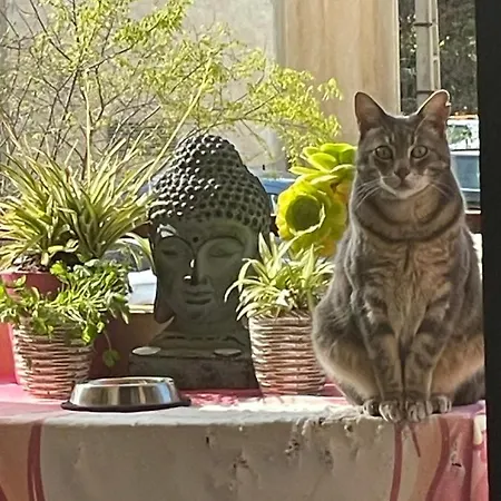 Pozzo Di Borgo *